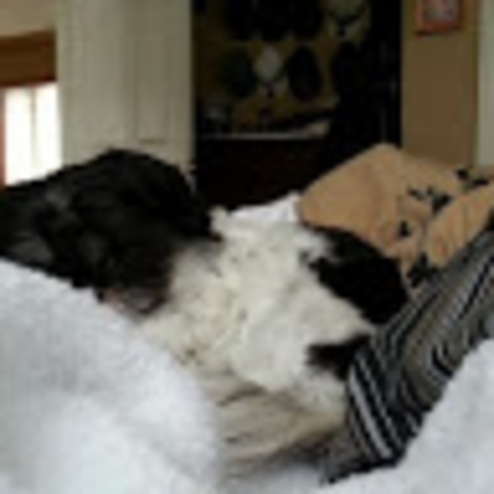 Meet your Posher, Tina